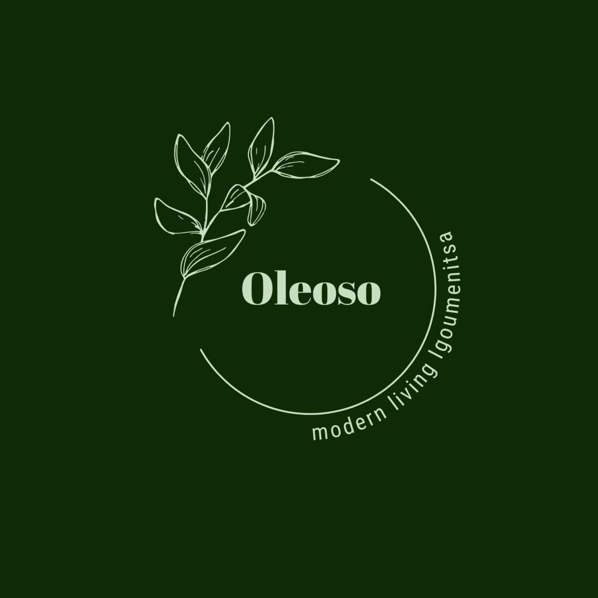 Oleoso Lejlighed Igoumenitsa Eksteriør billede