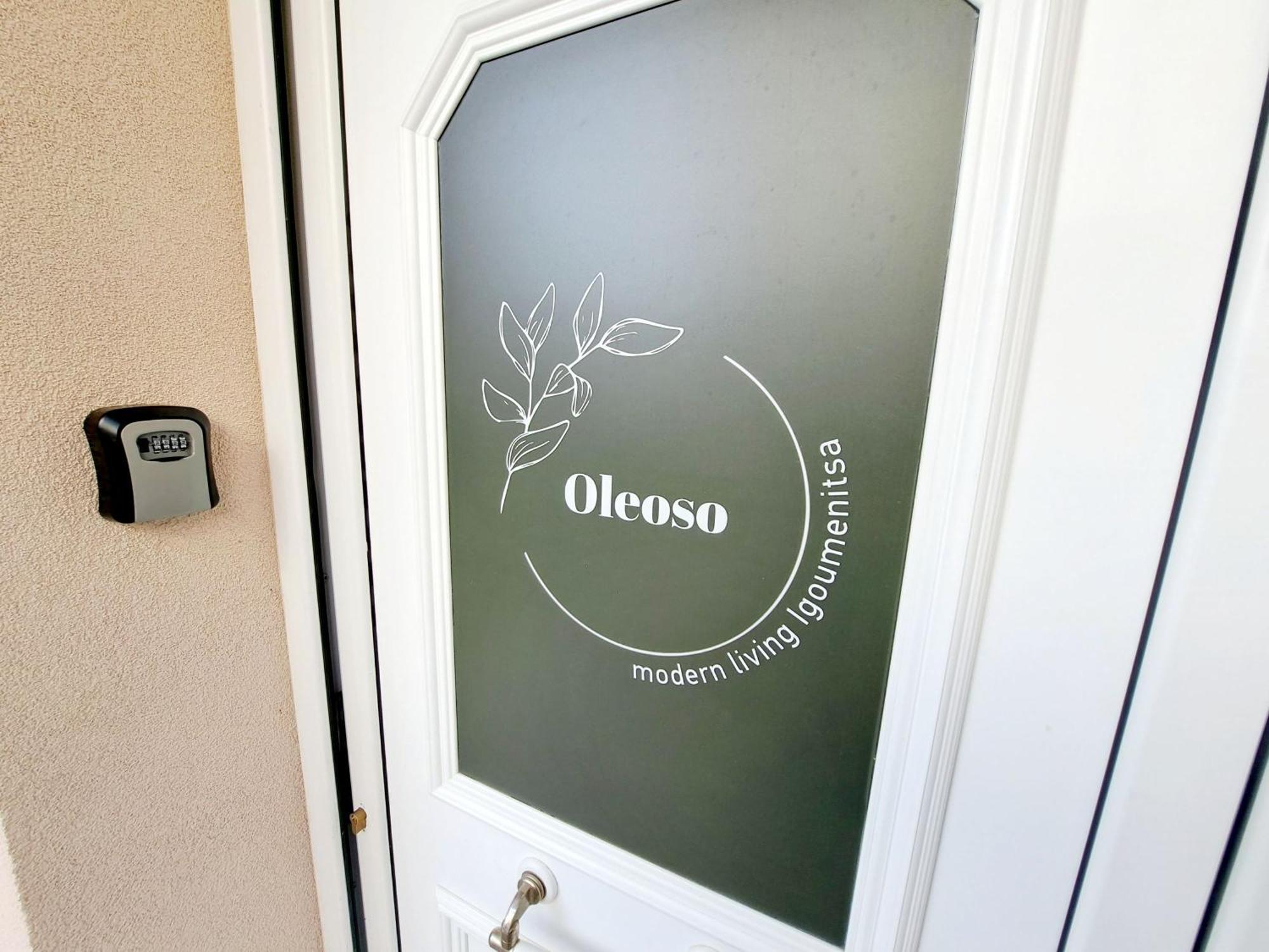 Oleoso Lejlighed Igoumenitsa Eksteriør billede
